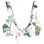 WBB6